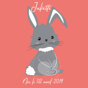 tableau personnalisé prénom lapin gris sur fond couleur