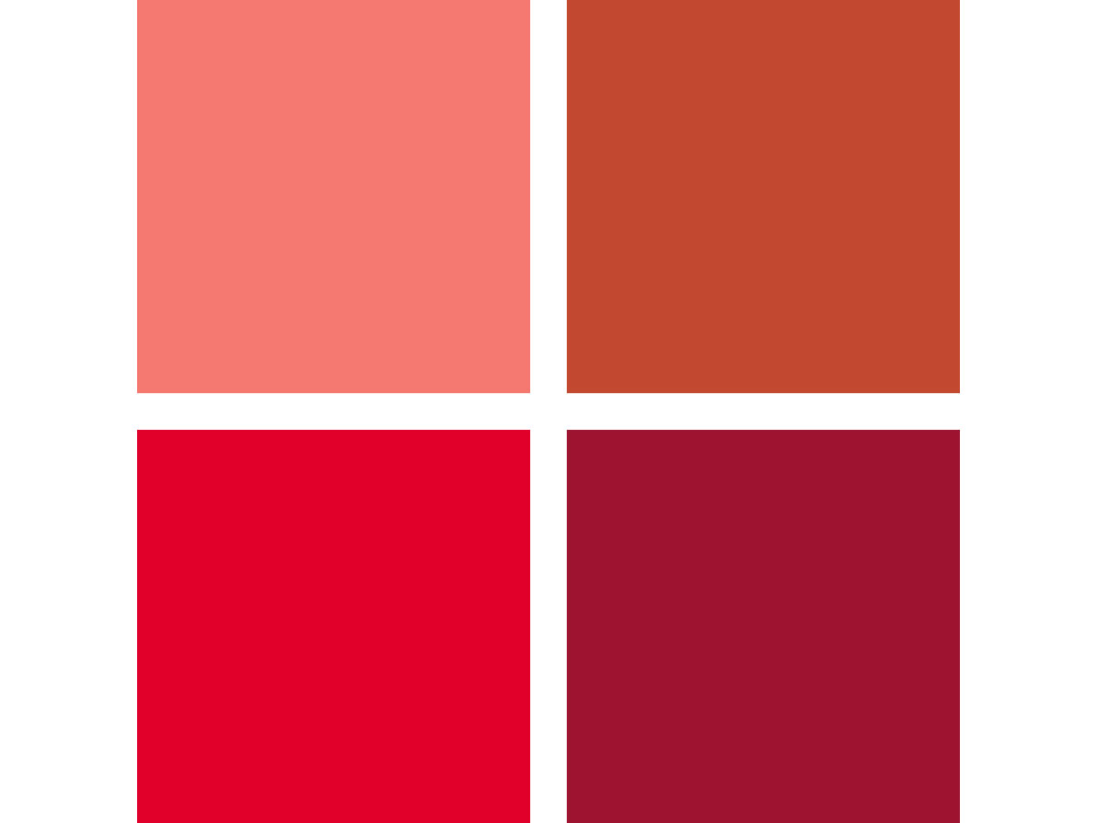 idée palette couleur rouge rouille bordeaux
