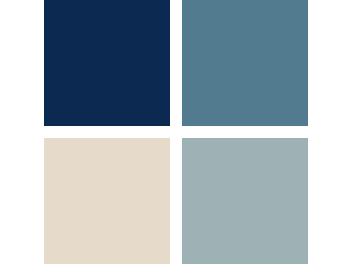 idée palette couleur bleu